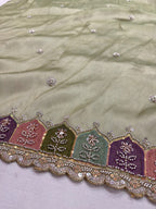 Pista Green Tissue Saree with Handworked Multicolour Border Suruchi Sarees