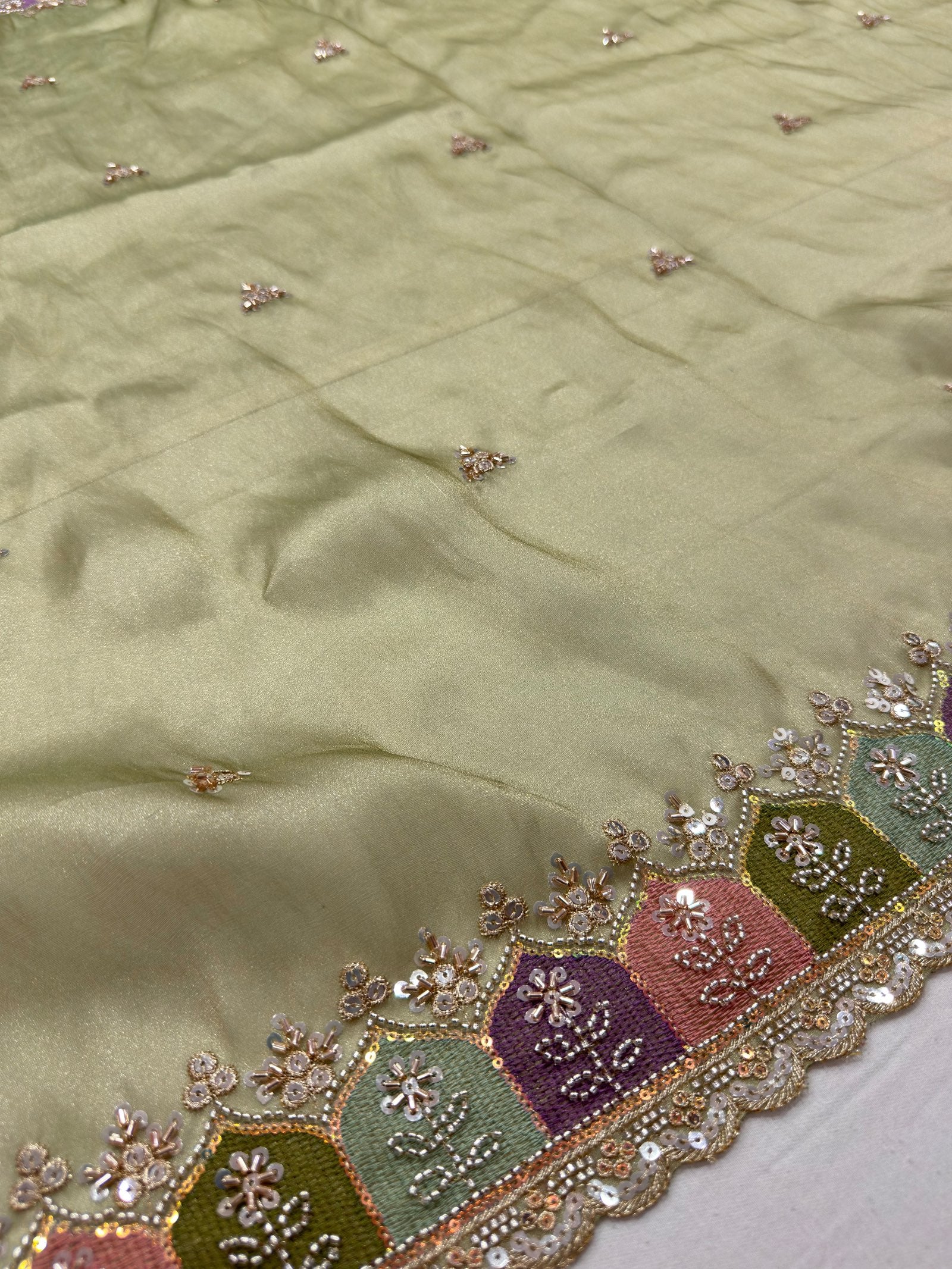 Pista Green Tissue Saree with Handworked Multicolour Border Suruchi Sarees